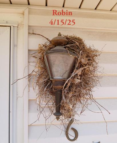 6fd28b5f-1afc-46c7-91c2-e2e44dc083ad