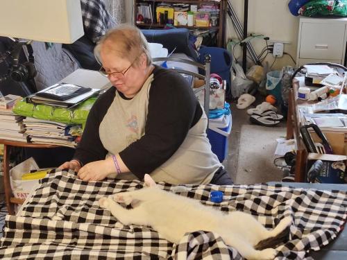 111fd912-7271-47b1-92b6-cfd22ddd3a70