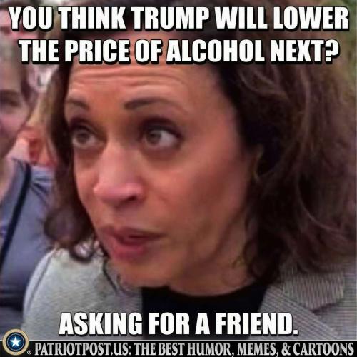 01JVV4AR321K5KTNMJHM4HZQ8P