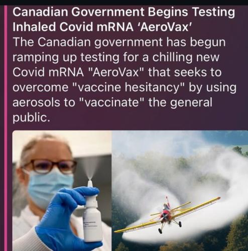 D52D735F-7C69-4E37-9A1F-49E5BF0BADC8