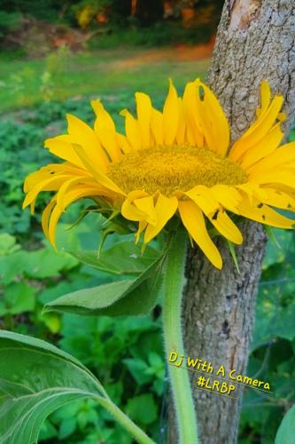 Screenshot_20250507_062542_Gallery