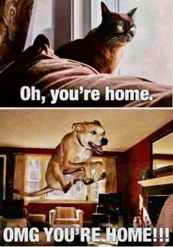 FB_IMG_1748104005929