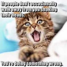 c076b007cbed933c5f9994d58ed27318