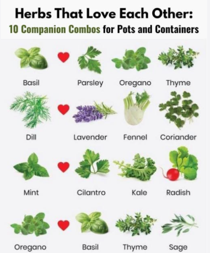 Screenshot 2025-03-30 132451