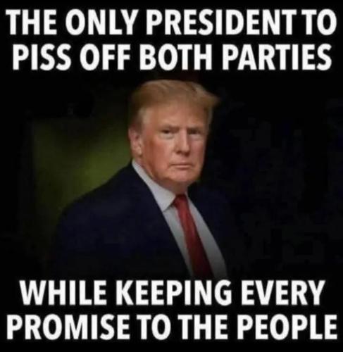 image_9037A763-4422-488C-85C6-AF1159031E36