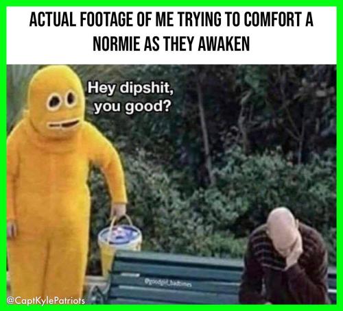 IMG_20250527_123100_295