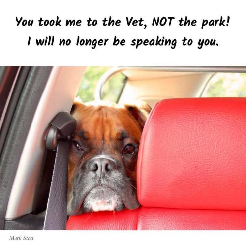 FB_IMG_1748472166647