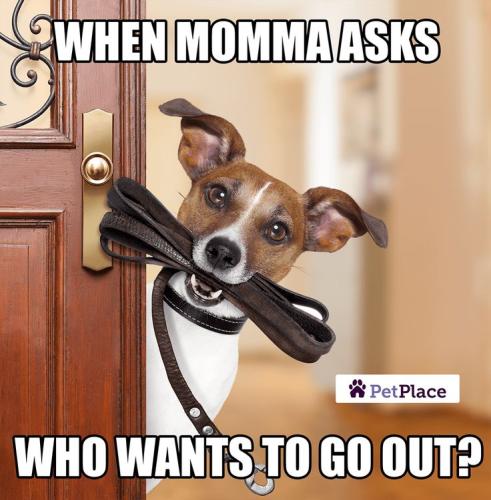 6e66fa8743f1d7e04b7d9535f7ca3754