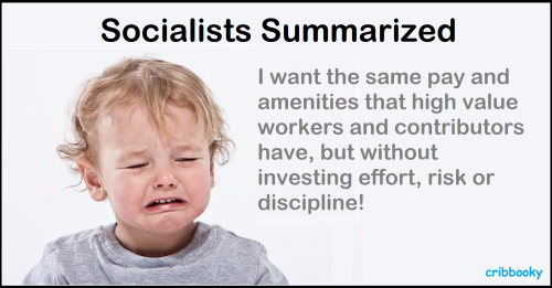socialists_summarized