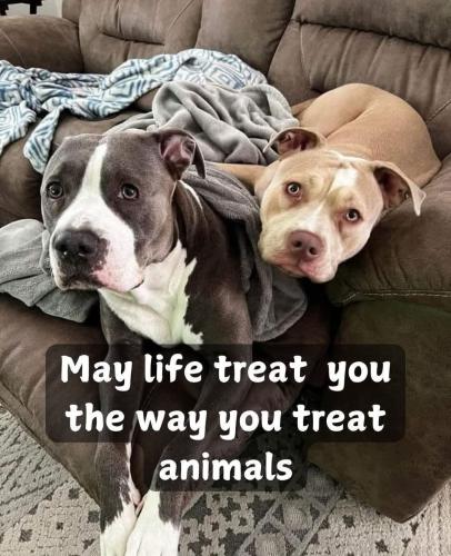 FB_IMG_1747412822881