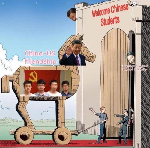 Screenshot 2025-05-14 104324