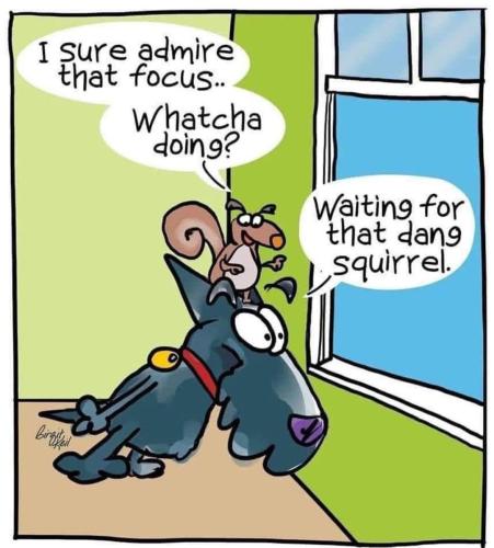 FB_IMG_1747866135049