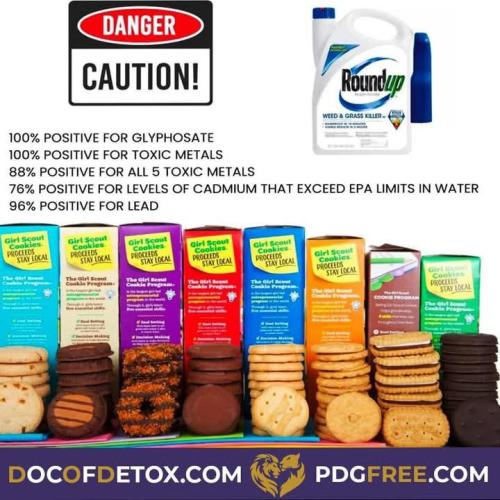 481252154_122114047412718379_2719527133192784410_n