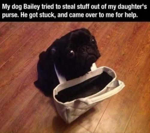 FB_IMG_1748444230857