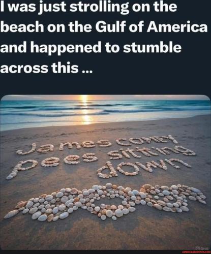 f2406b2ca1a24d0cf6794c8aaf078cb9ec5066a283ac979bc7dbc795c56e74e3_1