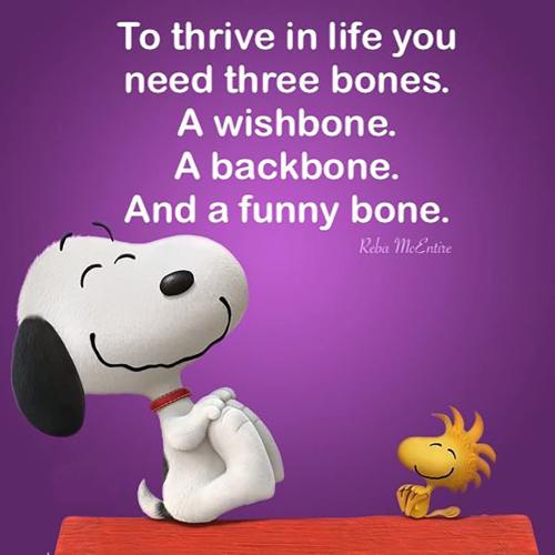 FB_IMG_1747248696099