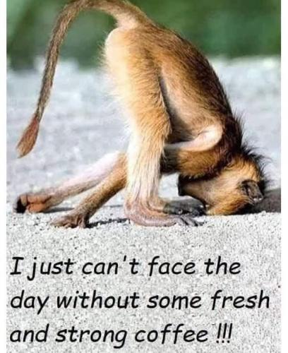 FB_IMG_1748094245914