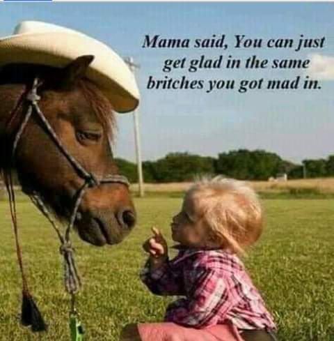 FB_IMG_1557422488924