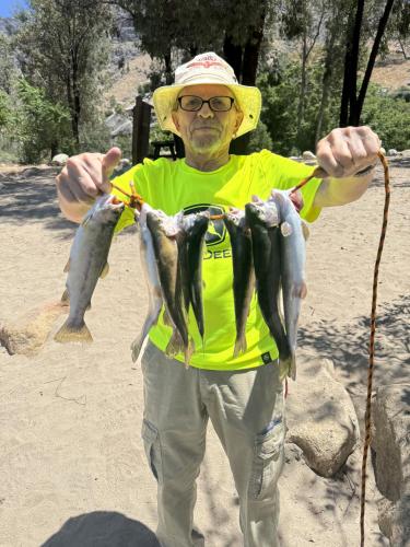 5623a0dc-3dab-449e-9d85-22a63ec2e1b0