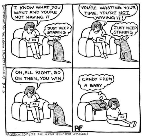 9866b5da22133188b536ad7091c6e5ea