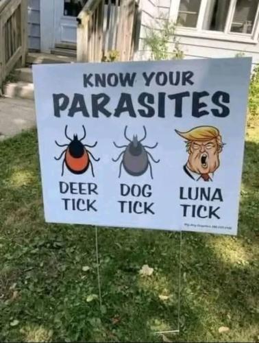 FB_IMG_1745702775211