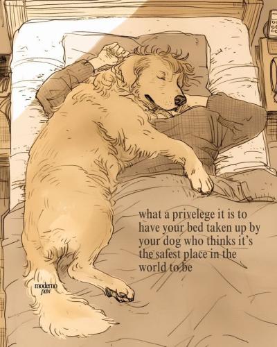 FB_IMG_1744386908755