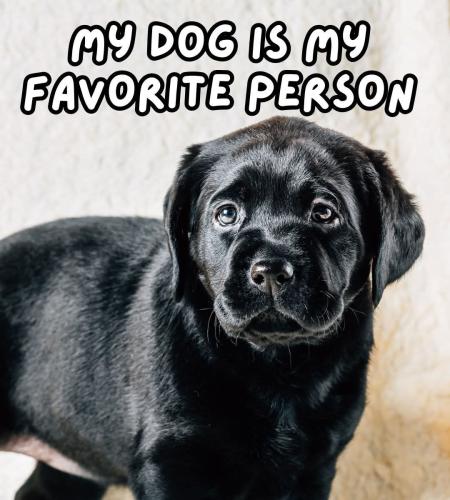 FB_IMG_1748371220482