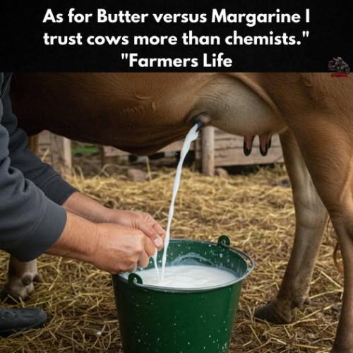 0000000000000000000000000000000000000000000000000000000000000000000000000000000000000000000000000000000000000000000000000000000000000000000000000000000000000000000000000000000000000000000000000000000000000000nbp