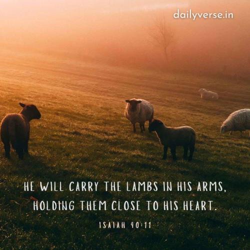 495371803_10232158126207782_8339859700650639558_n