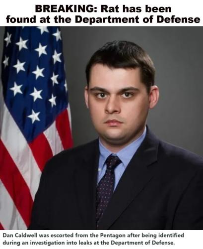 Rat has been found at the DoD.960px