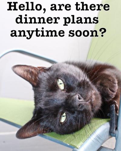 882e1c2da51a7b37031aa92cc8f2ebaf