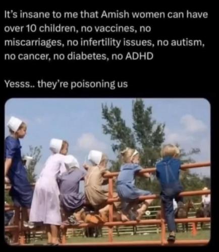 photo_2025-05-01_00-46-40