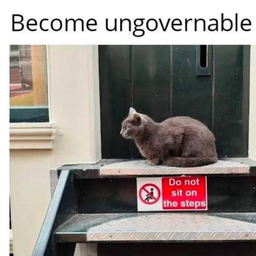 become-ungovernable-do-not-sit-on-steps