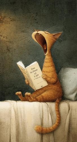 496309444_23890741510549594_5877657479397724641_n