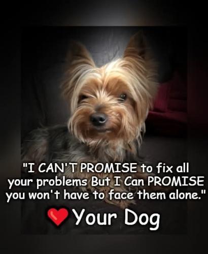 FB_IMG_1747413412858