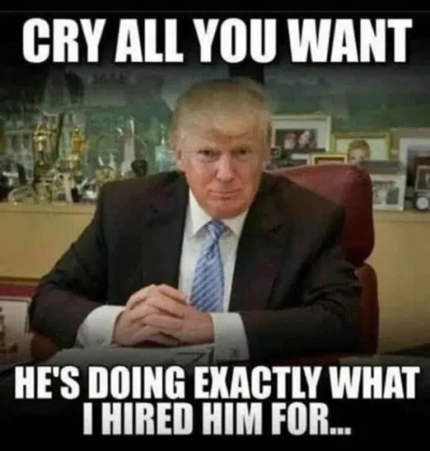 image_2025-05-23_063222863