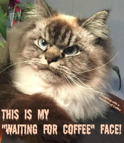 e25d423a4bfa51f4e2a655879e2565a9