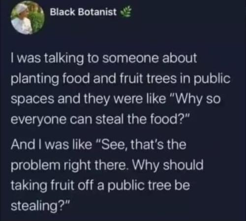plant in public