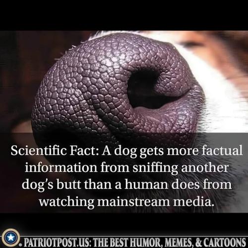 01JVNZ5V9VNK57JJ74KZH9FG3N