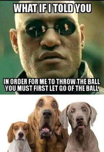 FB_IMG_1557977766022