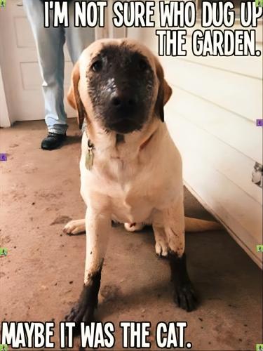 FB_IMG_1747947273617