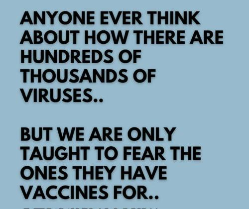 492895443_700841025803582_5468510321279004379_n