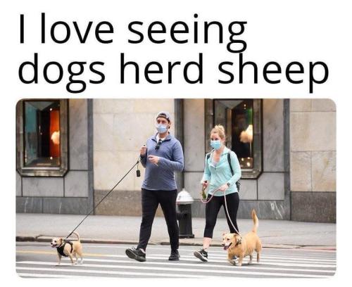 FB_IMG_1746487210883