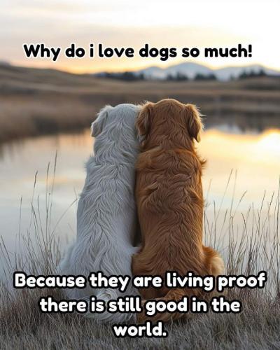 62364a55da2d61a93c4c78cb5324b0b6