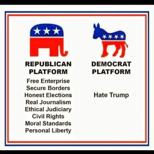 Screenshot_20250510_195023_DuckDuckGo