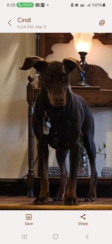 Screenshot_20240303_180518_Messages