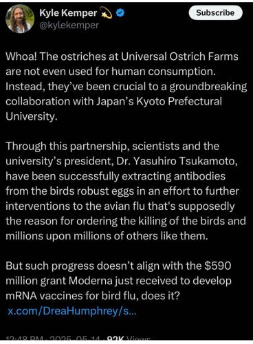 photo_2025-05-16_14-35-45