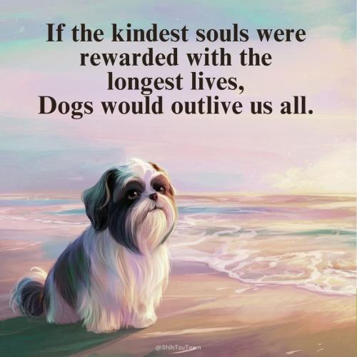 FB_IMG_1746123099988