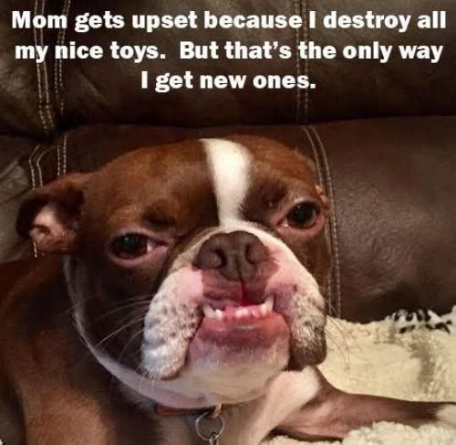 FB_IMG_1748255969500