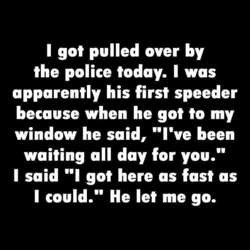 8794dbe5255c7f3e3643588317bcf281